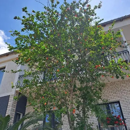 Tamara Maison d'hôtes